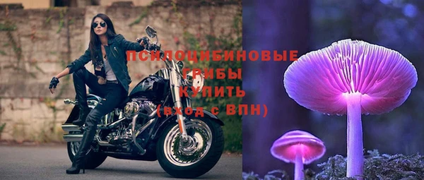 мдпв Саяногорск