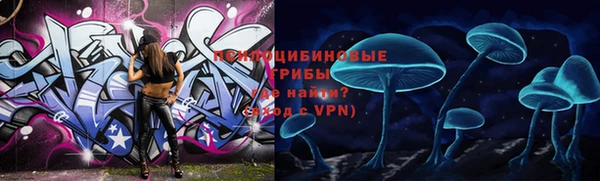 ПСИЛОЦИБИНОВЫЕ ГРИБЫ Алзамай