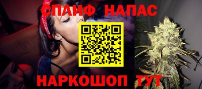 стаф Новодвинск