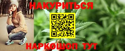 стаф Новодвинск