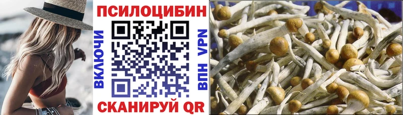 Галлюциногенные грибы Cubensis  KRAKEN рабочий сайт  Североуральск 