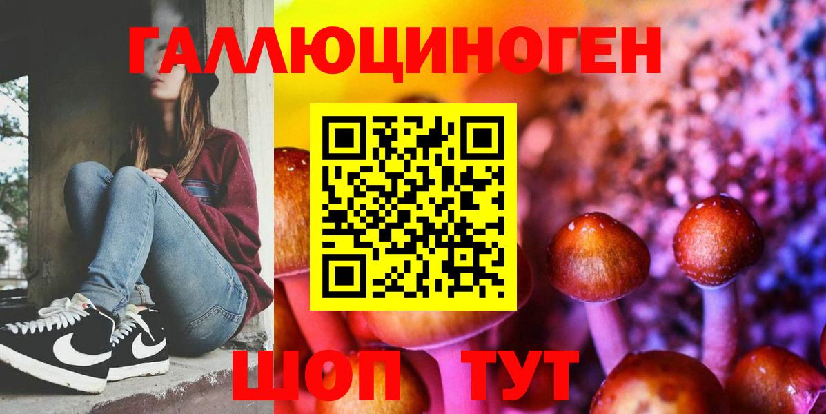 Североуральск  Псилоцибиновые грибы прущие грибы  Вход с VPN  Галлюциногенные грибы прущие грибы 